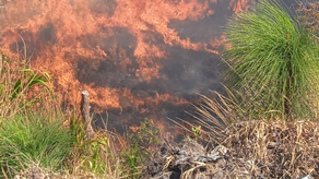 Vista de incendios registrados en años anteriores. Vista de incendios registrados en años anteriores.