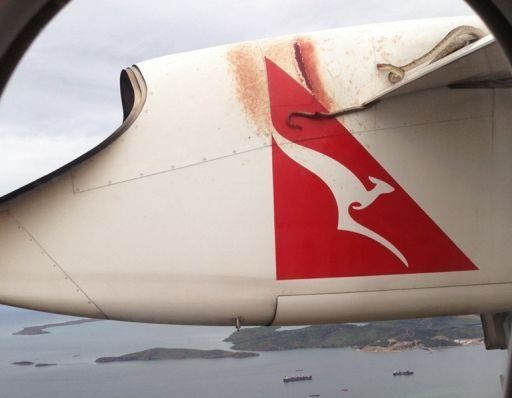 Serpiente pitón viaja en el ala de un avión de Qantas en Australia