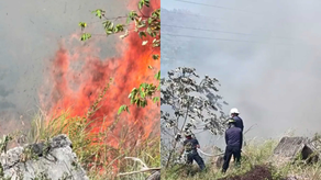 Bomberos atienden incendio de masa vegetal cerca del Estadio Rod Carew.