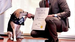 Tina Quera junto a Mayer Mizrachi, alcalde de Panamá