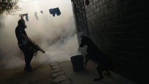 Uruguay recomienda a embarazadas no viajar por virus de Zika