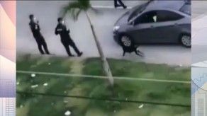 Abogados solicitan se investigue a policía que fue captado pateando a un can Abogados solicitan se investigue a policía que fue captado pateando a un can