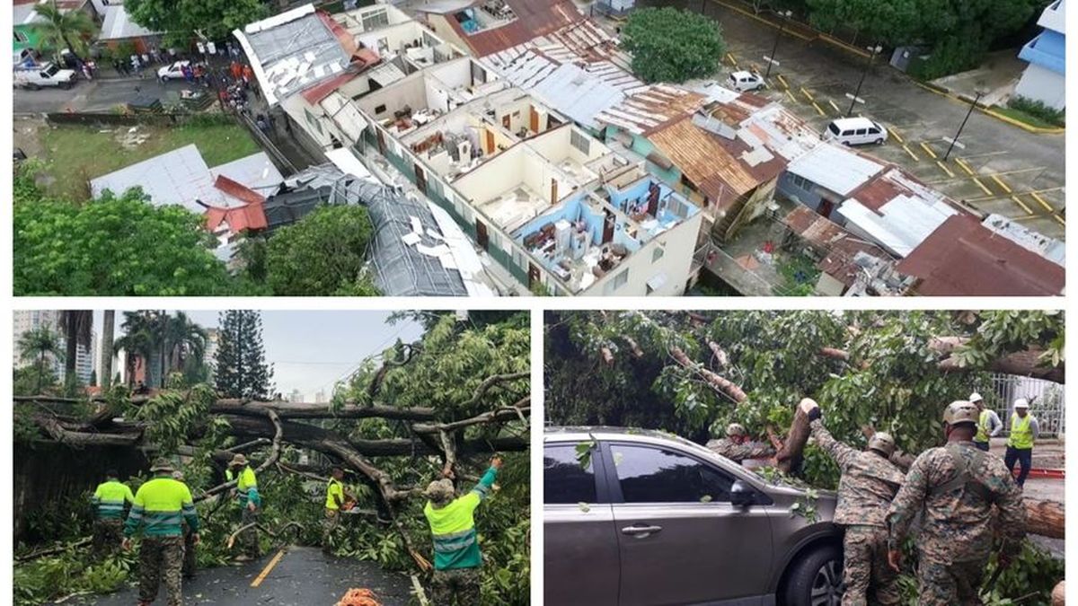Caída de árboles sobre vías y casas y desprendimiento de techos, mayores daños  por mal tiempo