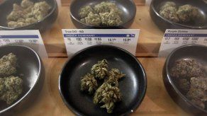 Dakota del Norte: Decidirán marihuana recreativa en urnas