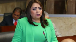 Dana Castañeda, diputada del circuito 2-3 en la Asamblea Nacional.&nbsp;