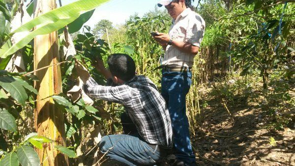Tecnologías innovadoras ayudan a agricultores a afrontar cambio climático
