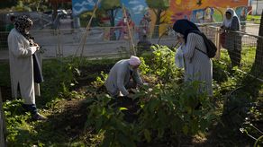 En los últimos años surgieron unos 25 huertos urbanos en Marsella.