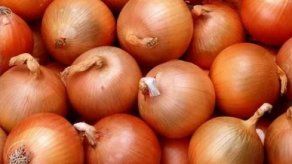 Ejecutivo aprueba importación de 60 mil quintales de cebolla y bajar el arancel al 0% Ejecutivo aprueba importación de 60 mil quintales de cebolla y bajar el arancel al 0%