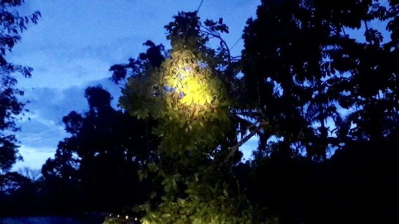 Mal tiempo provocó afectaciones en red eléctrica de Panamá Oeste y Coclé