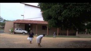 Descubren un gigante hongo en Chitré