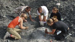 Científicos encuentran restos de herbívoro gigante