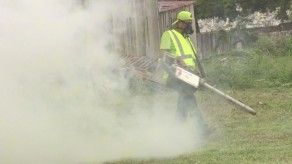 Investigan posible muerte por dengue, hacen llamado a la población