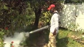 Realizan operativos contra el dengue en varios puntos de Panamá