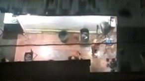 Investigan caso de sacrificio de animales para rituales en Perejil