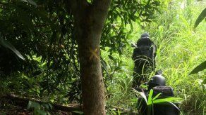 Policía Nacional encuentra fusiles en una caleta en Chepo