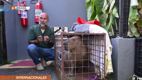 Indignación en Brasil