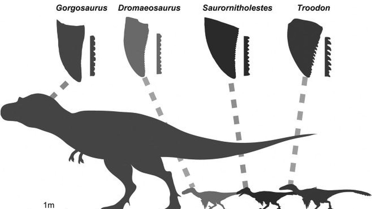 Todos los dinosaurios carnívoros comían la misma carne?