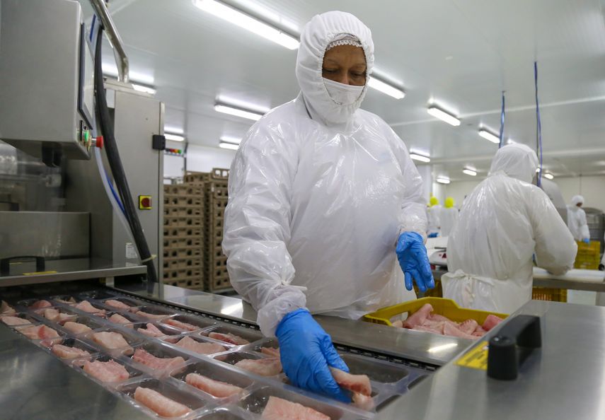 Panamá alcanza récord en exportaciones&nbsp;