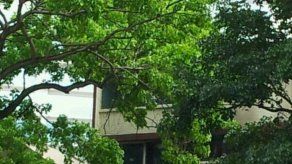 Se registra incendio en apartamento ubicado en Vía España