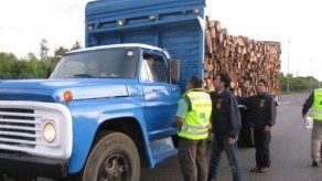 Doscientos detenidos en A. Latina en operación contra tráfico de madera