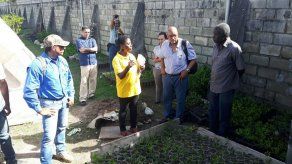 Panamá realizó diagnóstico en áreas de producción en Haití para donación de semillas