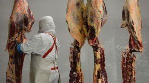 Hallan hamburguesas con carne de caballo en hospitales de Irlanda Norte