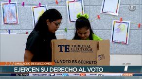 Jóvenes con discapacidad participaron de simulacro de votación