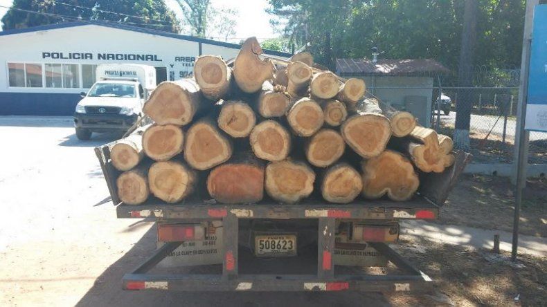 Retienen camión con 49 tucas de teca y 3 de cedro amargo en Herrera