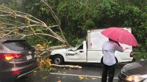 Árbol cae sobre dos vehículos en Loma Cová Árbol cae sobre dos vehículos en Loma Cová