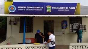 Entrega de calcomanías vehiculares en departamento de placas de la Alcaldía de Arraiján.