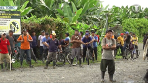 Trabajadores de fincas bananeras retoman labores en Bocas del Toro.