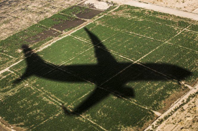 La reanudación de los vuelos hacia estos destinos turísticos se debe