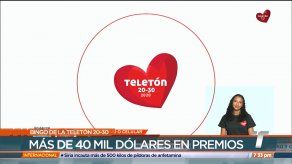 Este 11 de diciembre se realizará el Bingo Teletón 20-30