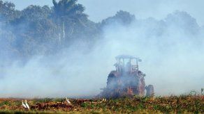 Incendio forestal consume 3.500 hectáreas y amenaza reserva en Cuba