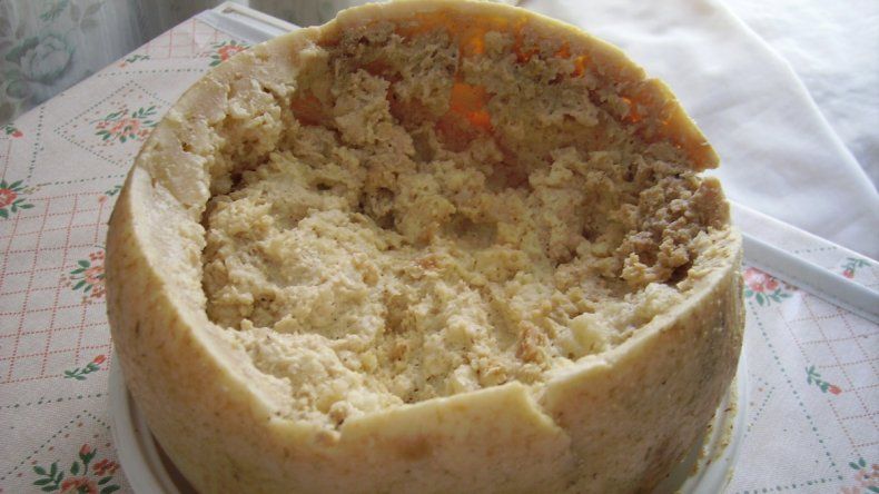 El queso casu marzu, el más peligros del mundo