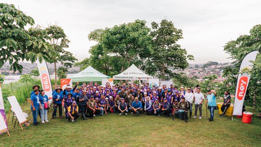 Grupo Rey celebra el Día Nacional de la Reforestación.
