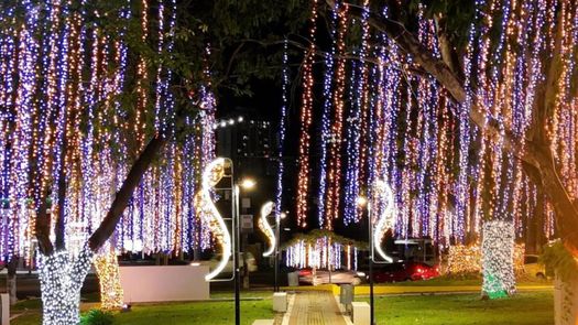 Parques de Panamá mantendrán encendidos y decoraciones. Parques de Panamá mantendrán encendidos y decoraciones.