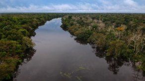 ONG denuncia deforestación acelerada en gigante área de Amazonia de Brasil