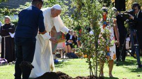 El papa siembra un árbol en el Vaticano con los indígenas de la Amazonía El papa siembra un árbol en el Vaticano con los indígenas de la Amazonía