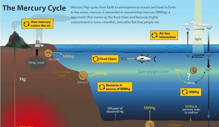 Aumenta contaminación de océanos con mercurio