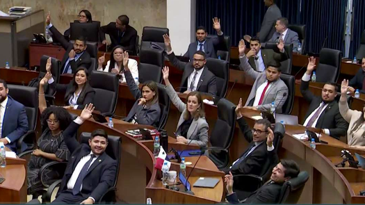 Diputados de Vamos se retiran del Pleno Diputados de Vamos se retiran del Pleno