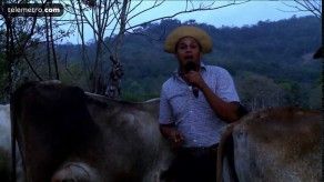 Del puente pa allá: el ordeño