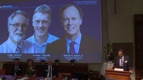 El Nobel de medicina premia la investigación celular