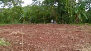 Denuncian deforestación y construcción de un parque sin permiso en Don Bosco