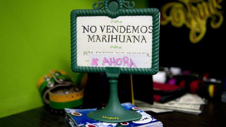 Uruguay: más de 20 empresas compiten por marihuana