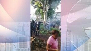 Miviot ordenó tala de 24 árboles en Brooklincito, Banfield dice que es ilegal