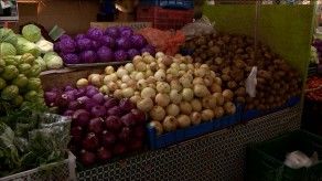 Consumidores afectados ante elevado precio de la cebolla, piden intervención de Acodeco