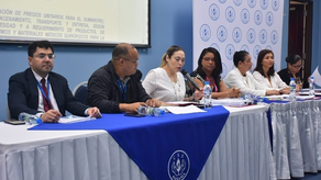 CSS reunión para hacer efecto la licitación de insumos.