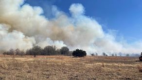 Para la tarde del viernes, los incendios habían consumido unos 330 kilómetros cuadrados (130 millas cuadradas), aproximadamente 185 kilómetros cuadrados (70 millas cuadradas) sólo en el complejo Eastland, según el Servicio de Bosques A&M de Texas.