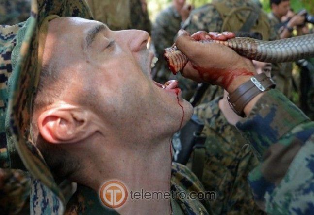 Entrenamiento de supervivencia del ejército de EEUU